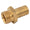 Male BSP Parallel Thread - Brass Hosetail