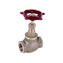 Bronze Globe Valve