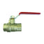 Female x Female Lever Handle Ball Valve
