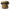 BSPP Allen Key Plug – O ring