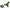 Claw Couplings - Steel