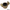 Claw Couplings - Steel