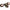 6mm Tube O/D Tee Connector - Steel